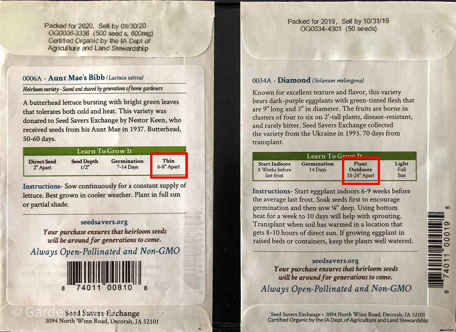 How to create a productive small vegetable garden