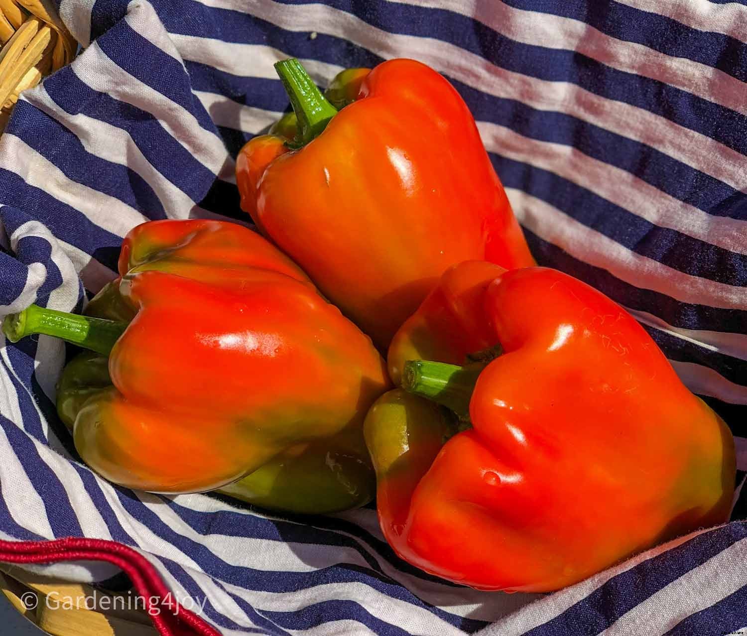 2020 Peak Performing Plants in my Garden