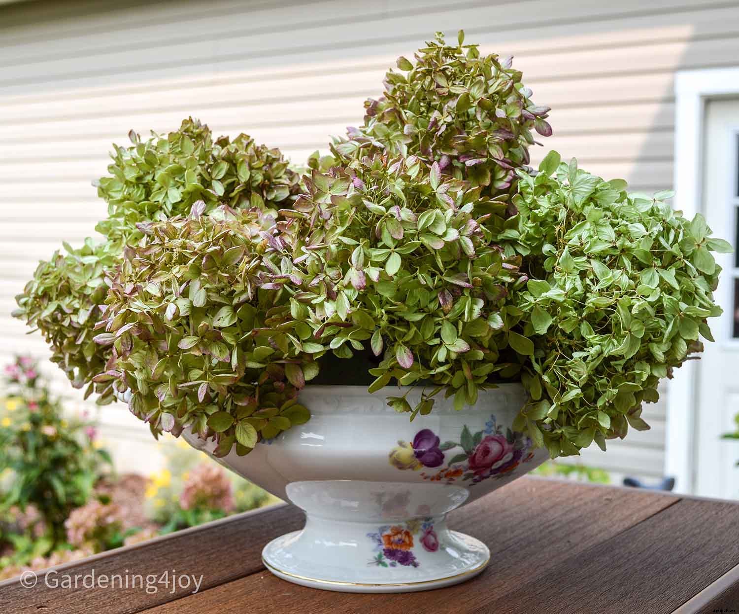 The Secret to Impeccably Dried Hydrangeas