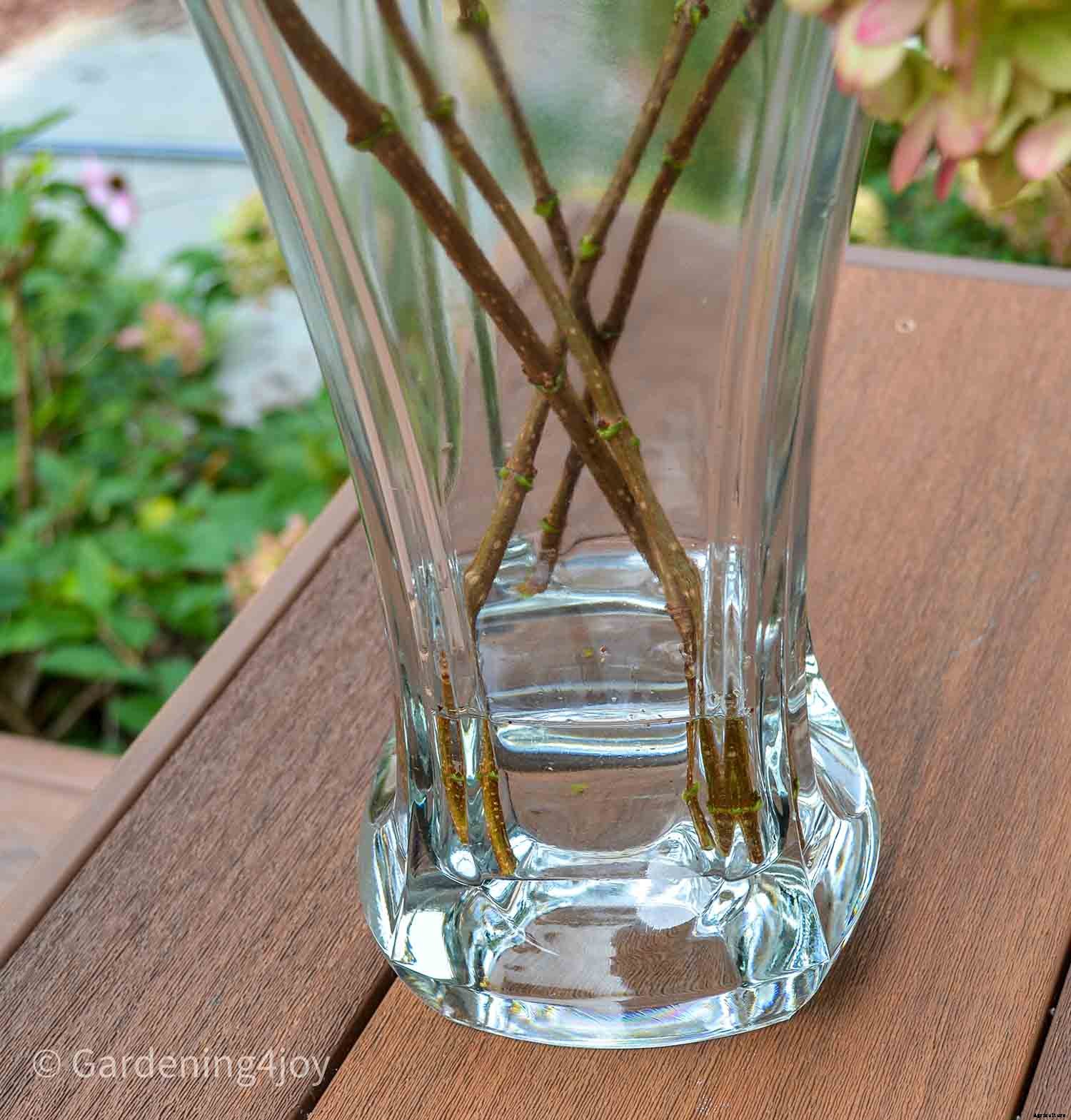 The Secret to Impeccably Dried Hydrangeas