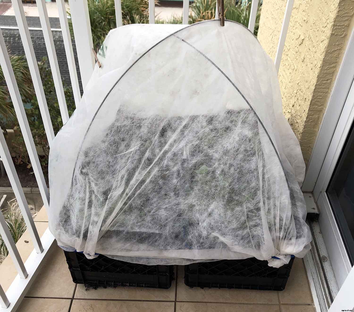 Getting the most from your Fall Vegetable Garden