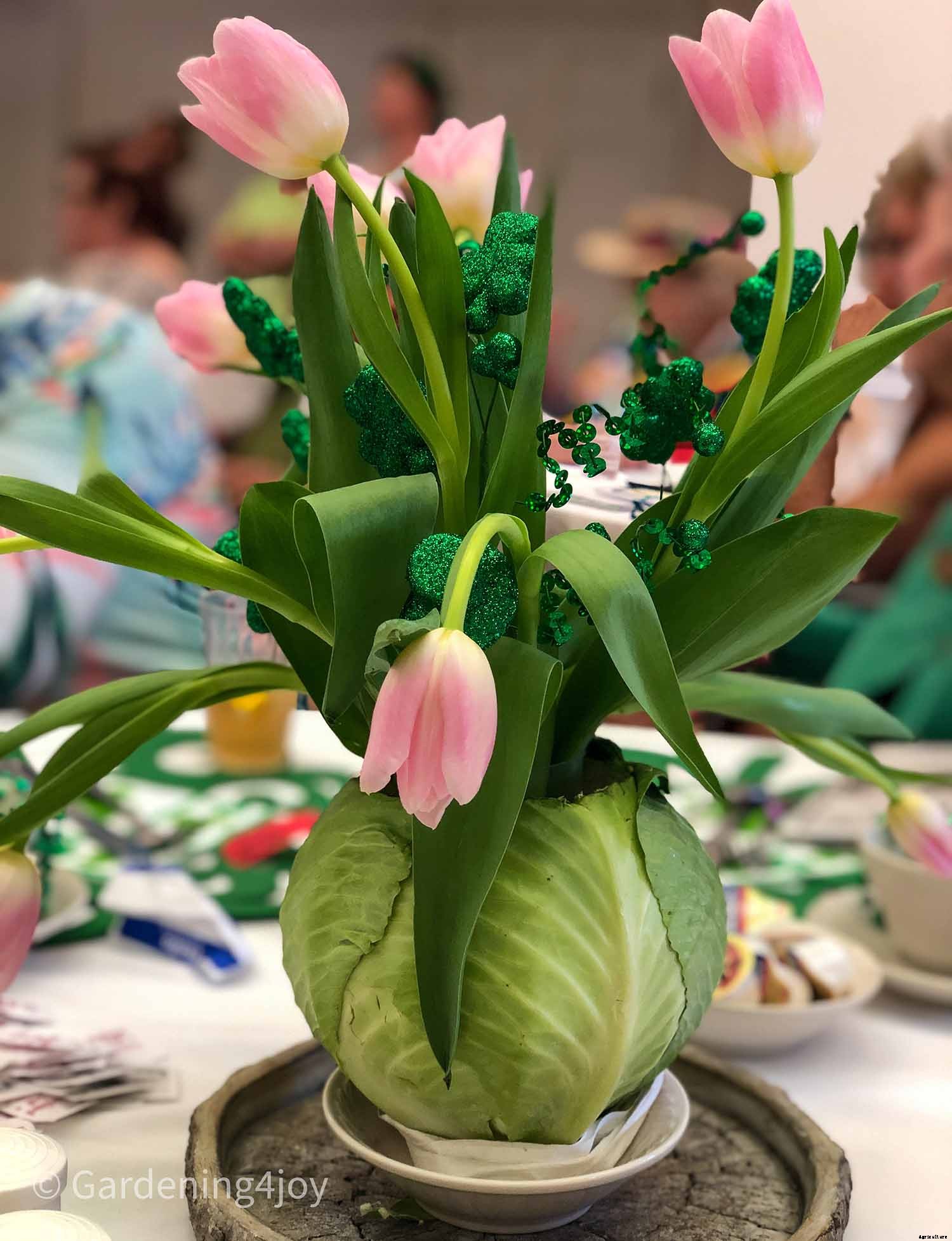 How to Successfully Grow Cabbage in your Garden