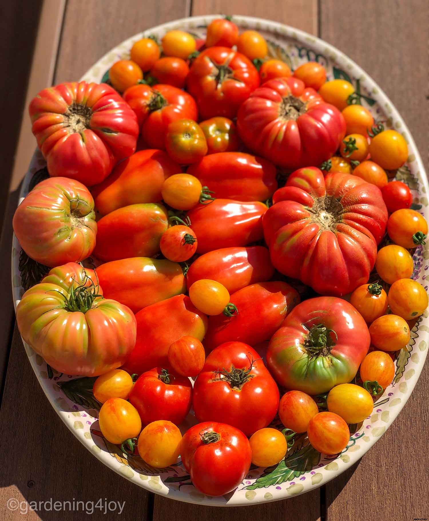 10 Tips to Keep the Joy in Gardening