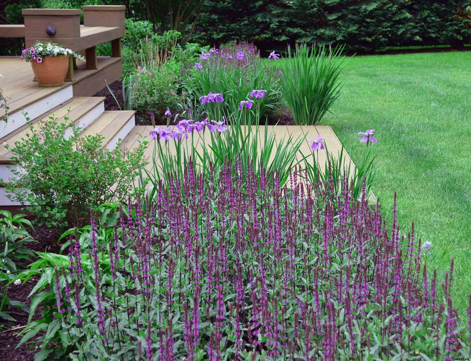 10 Tips to Keep the Joy in Gardening