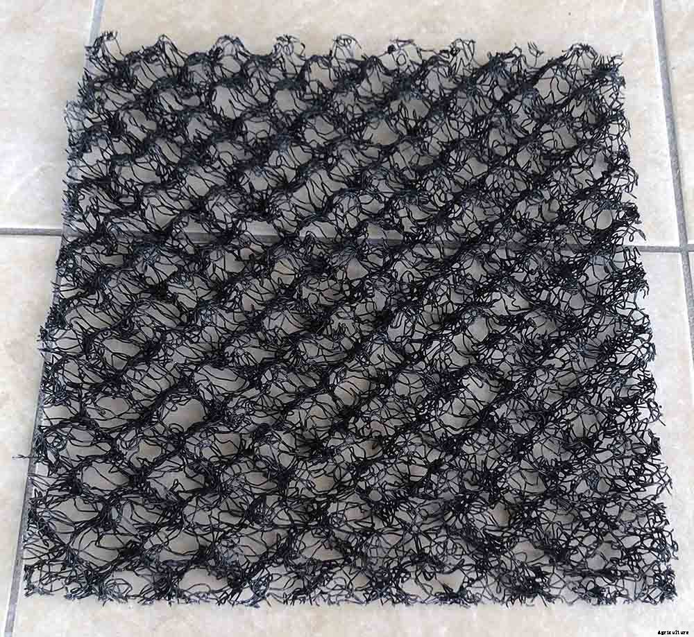 Vegetable gardening with milk crates