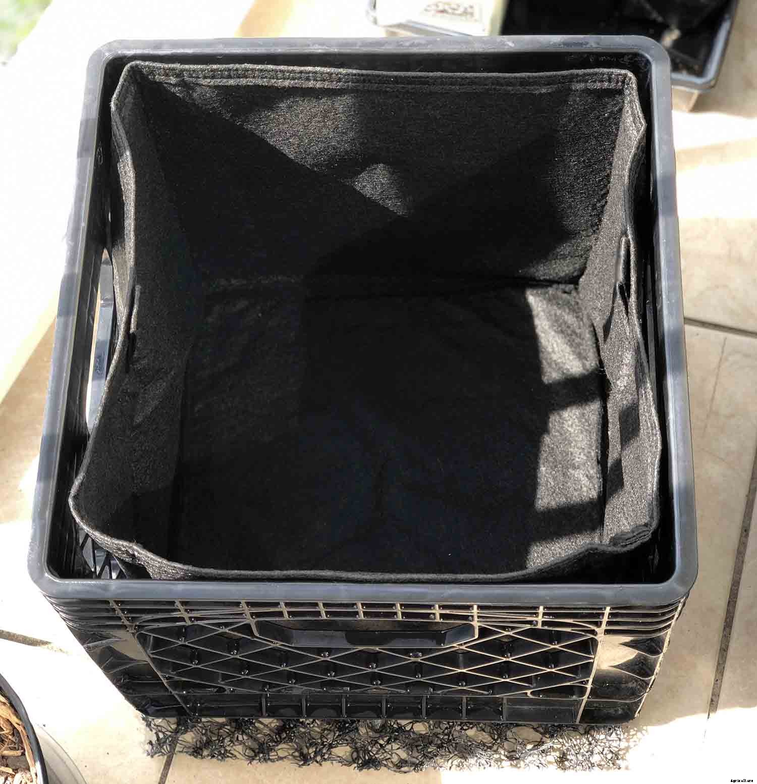 Vegetable gardening with milk crates