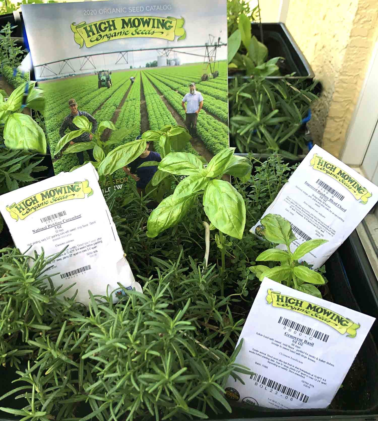 Four seed companies you should try in 2020