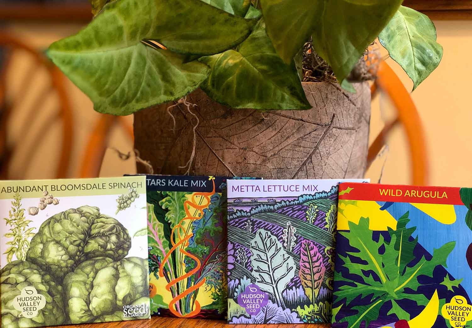 Four seed companies you should try in 2020