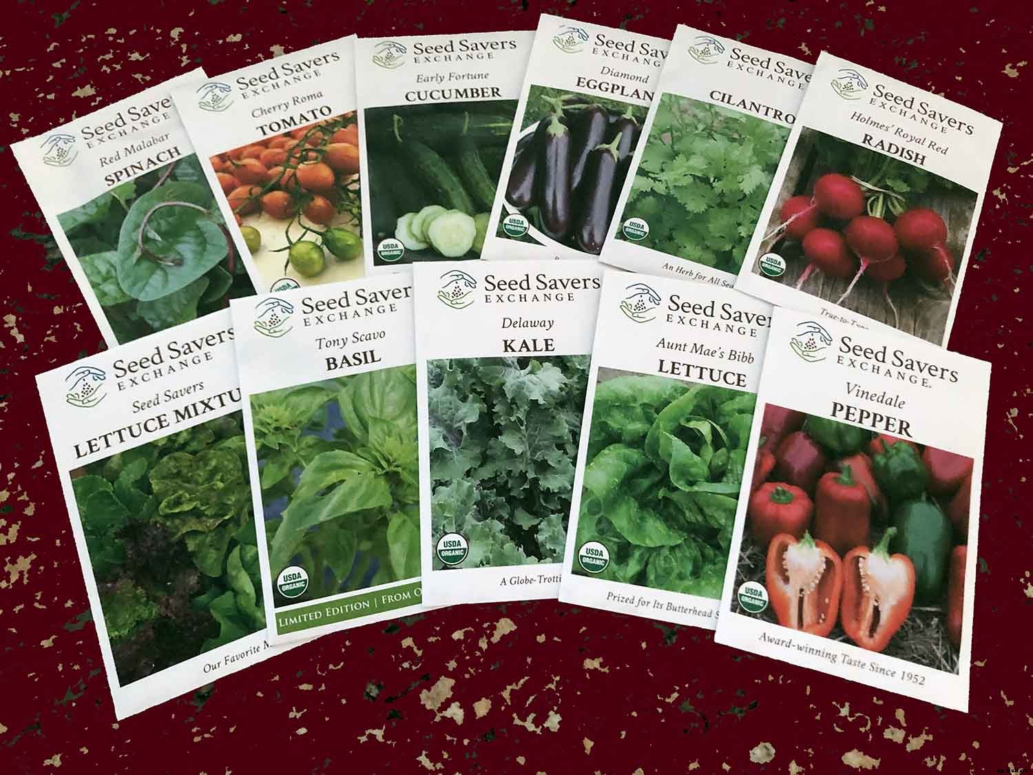 Four seed companies you should try in 2020