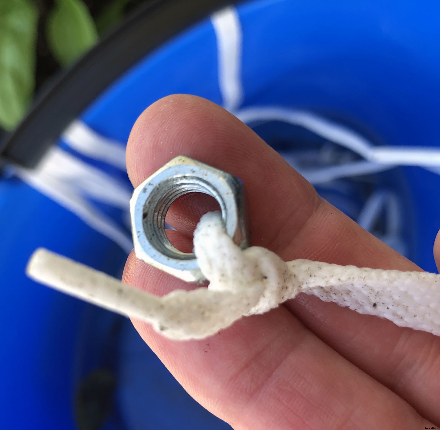 DIY Wick Watering System