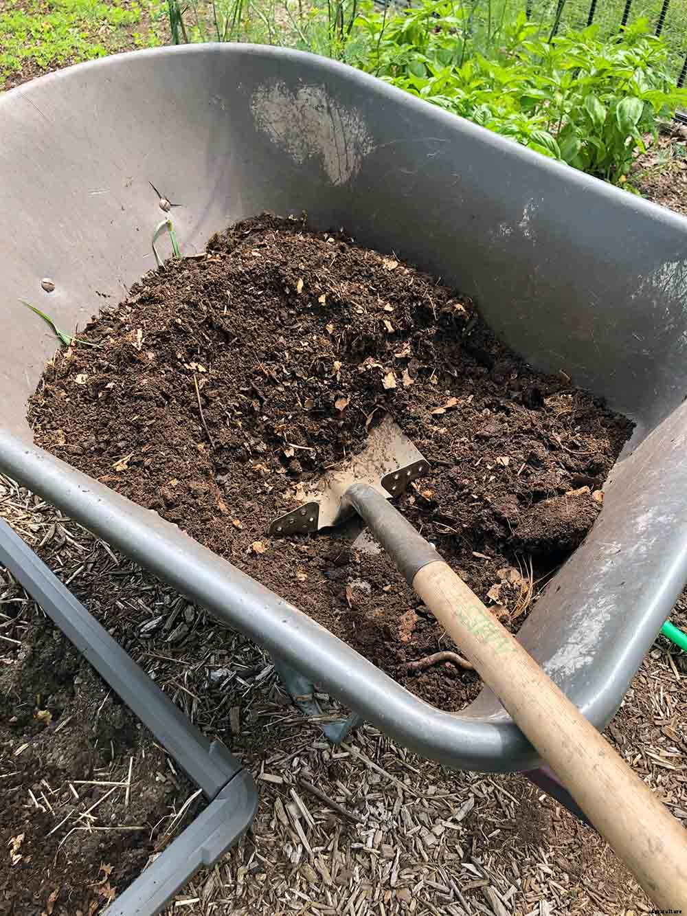 Using Cover Crops in the Home Garden