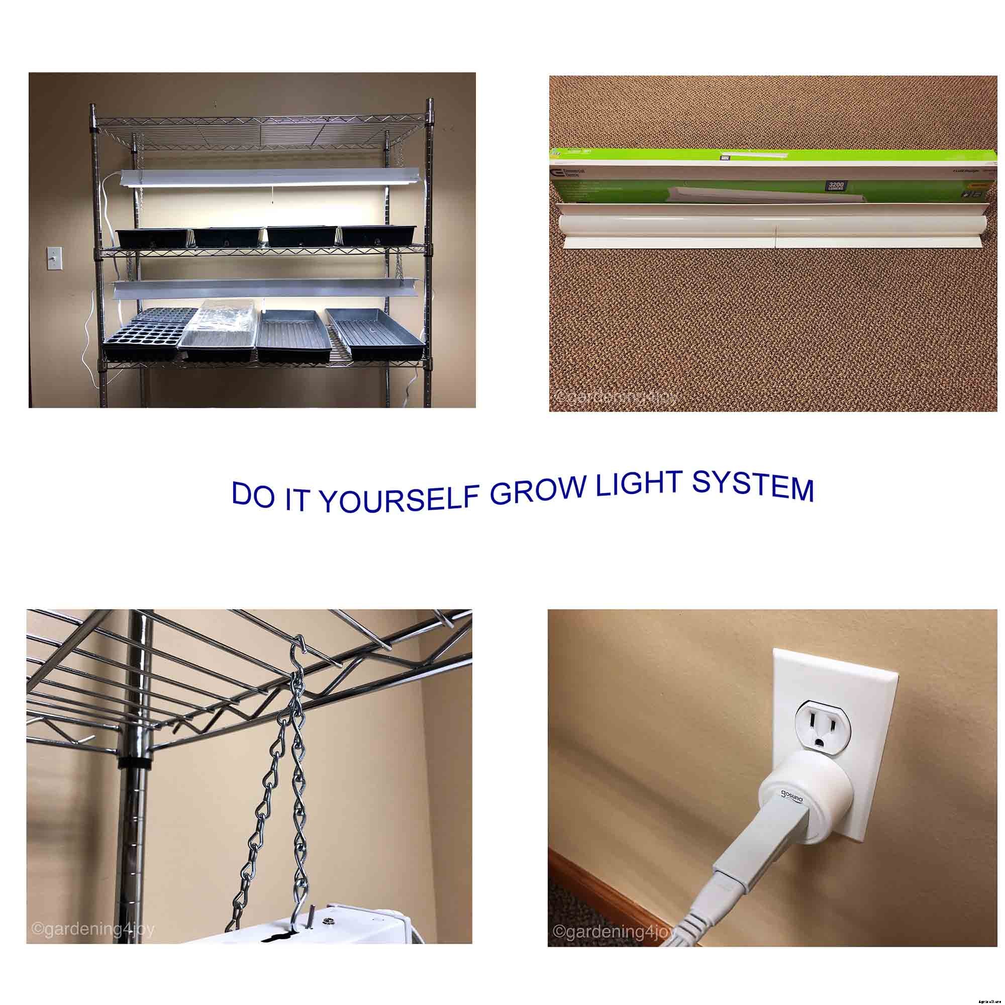 Four essential tools for starting seedlings