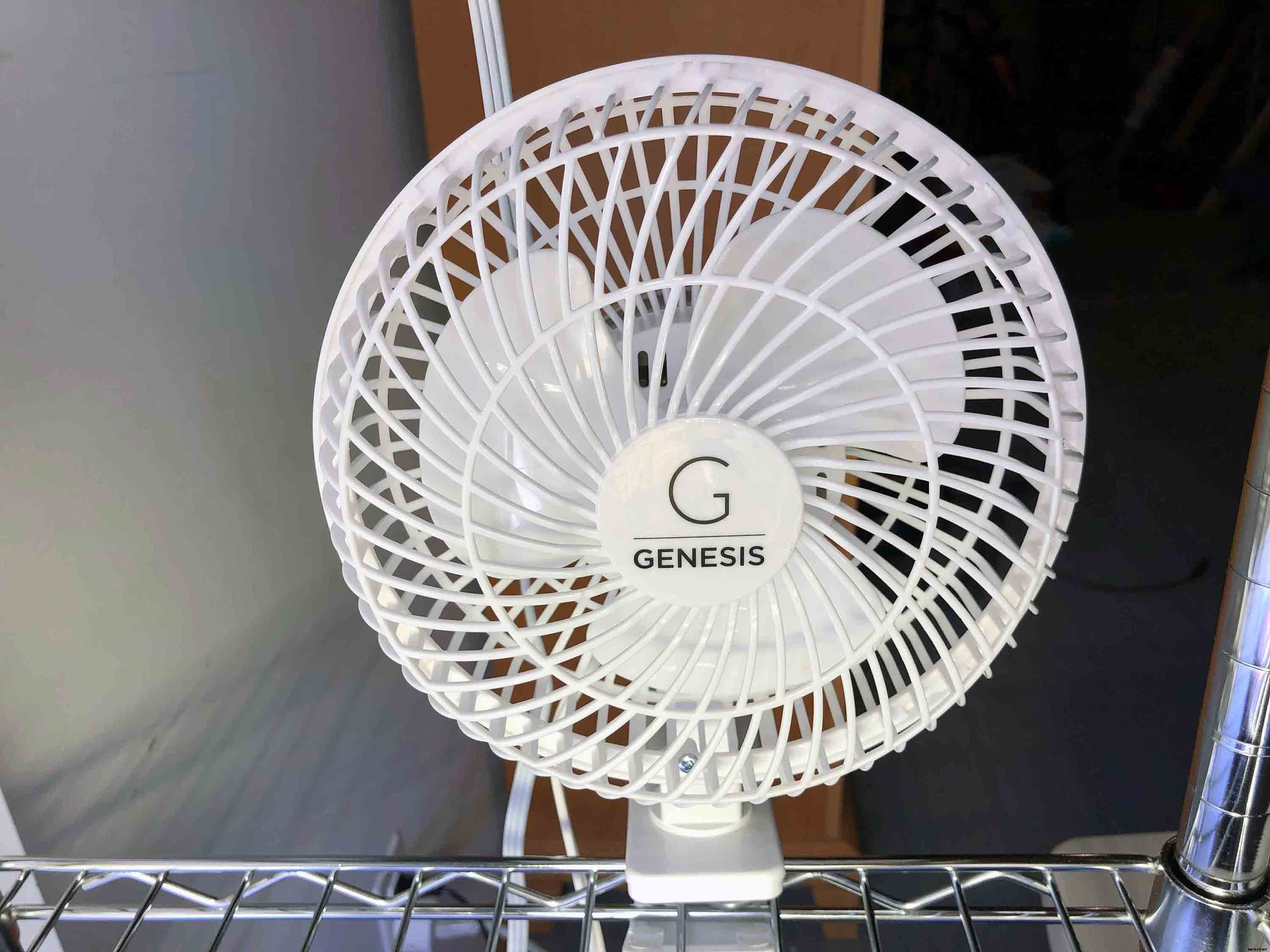 Four essential tools for starting seedlings