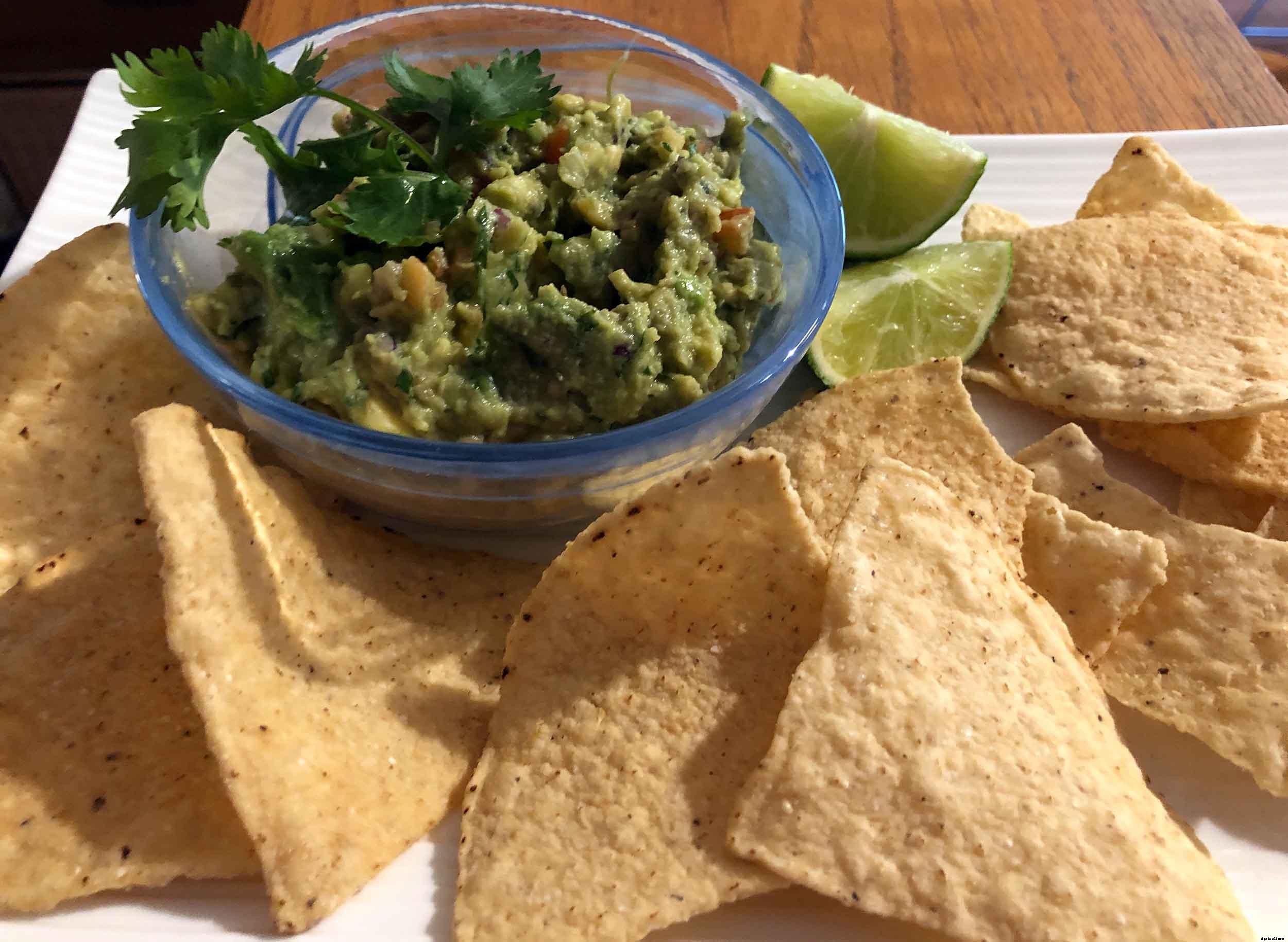 How to successfully grow cilantro/coriander in your garden