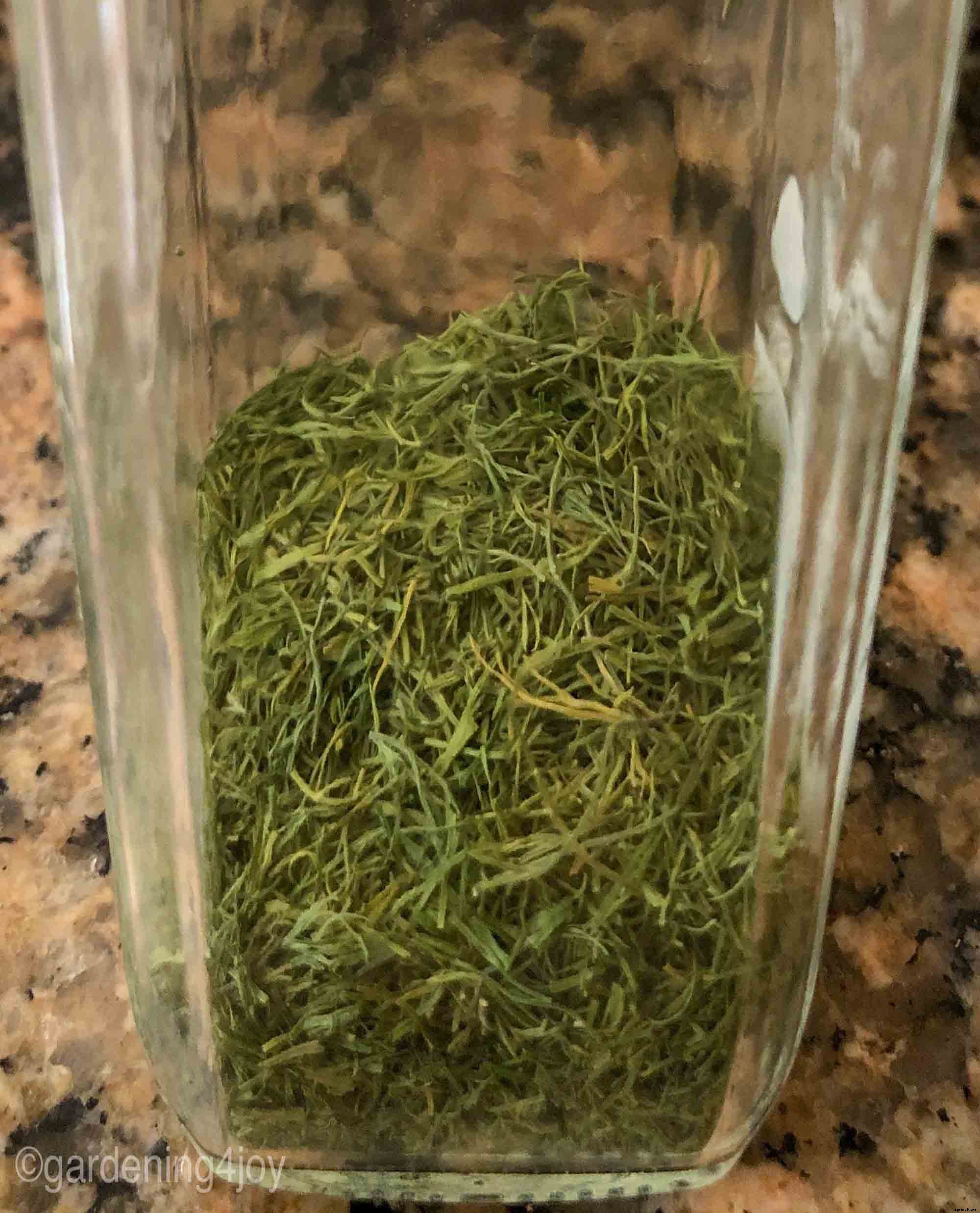 How to successfully grow dill in your garden