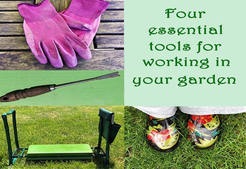 Four essential tools for working in your garden