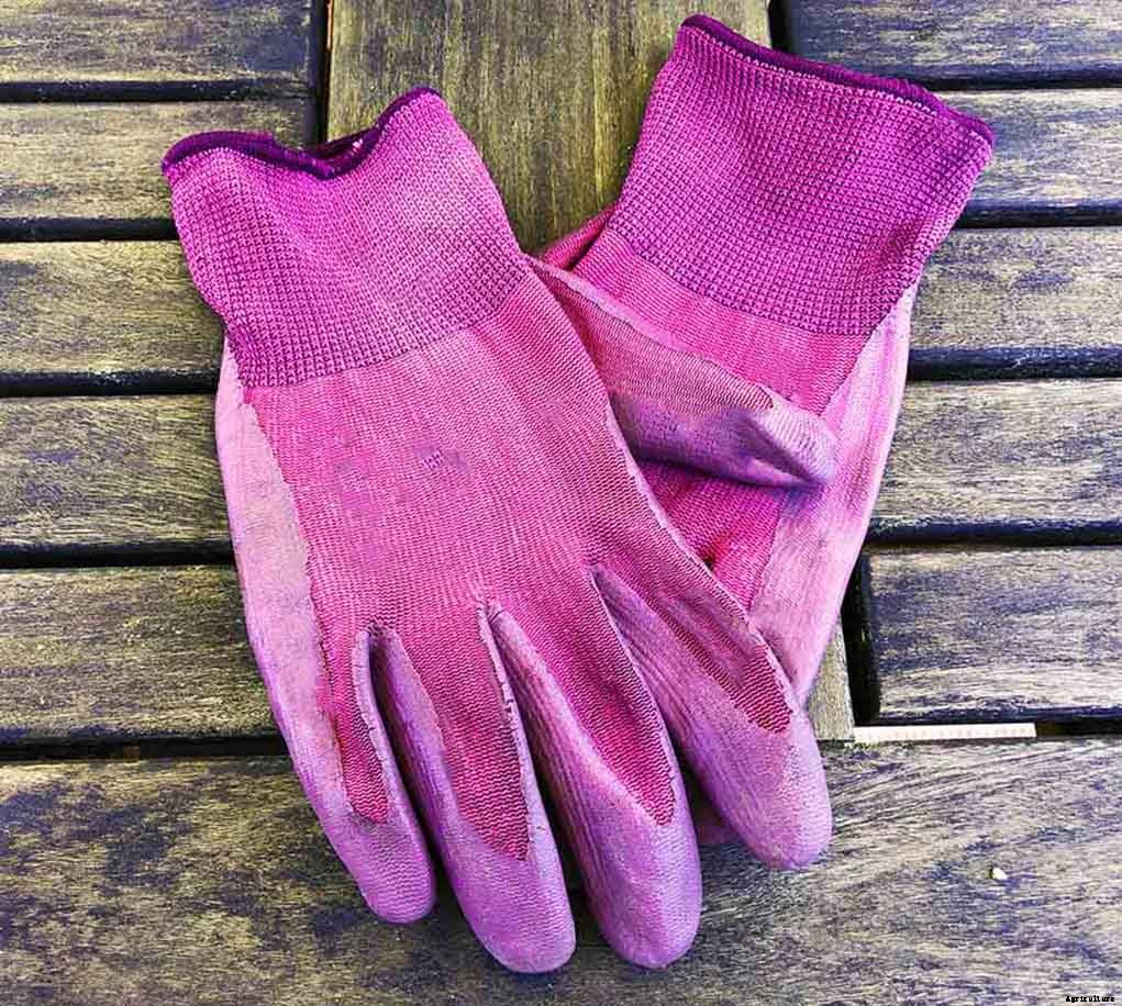 Four essential tools for working in your garden