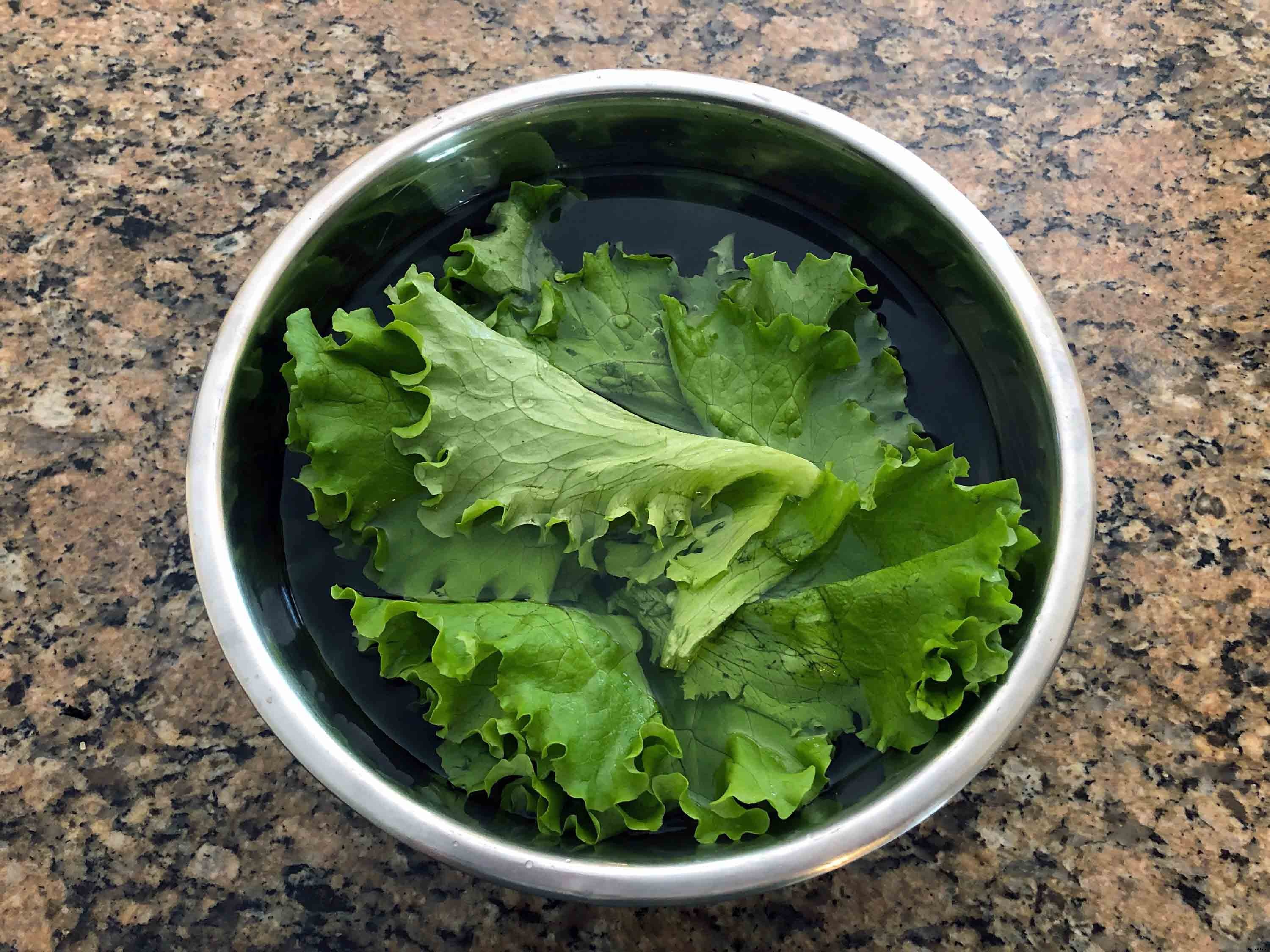 How to successfully grow leaf lettuce in your garden