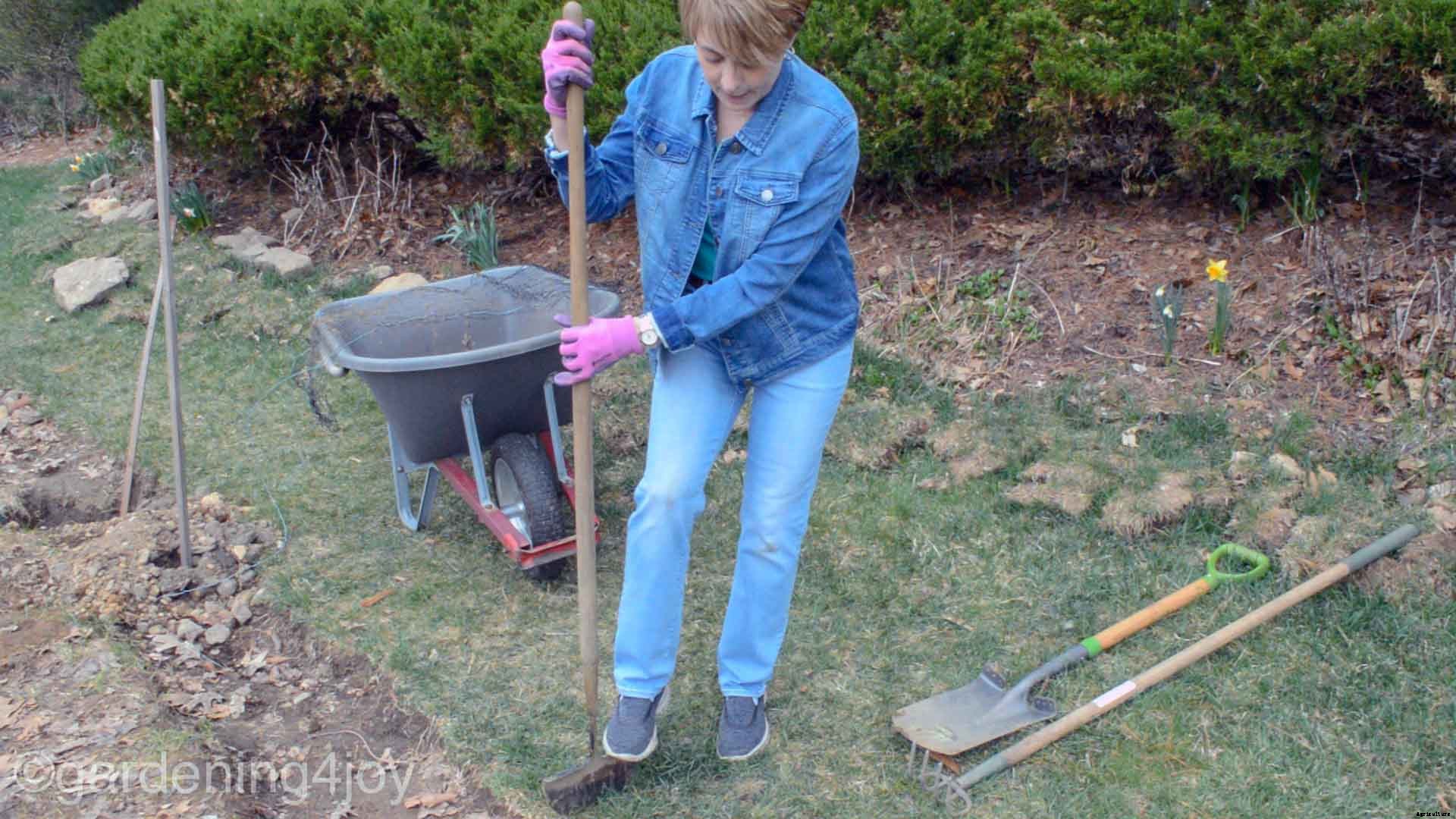 How to prepare raised and in-ground garden beds