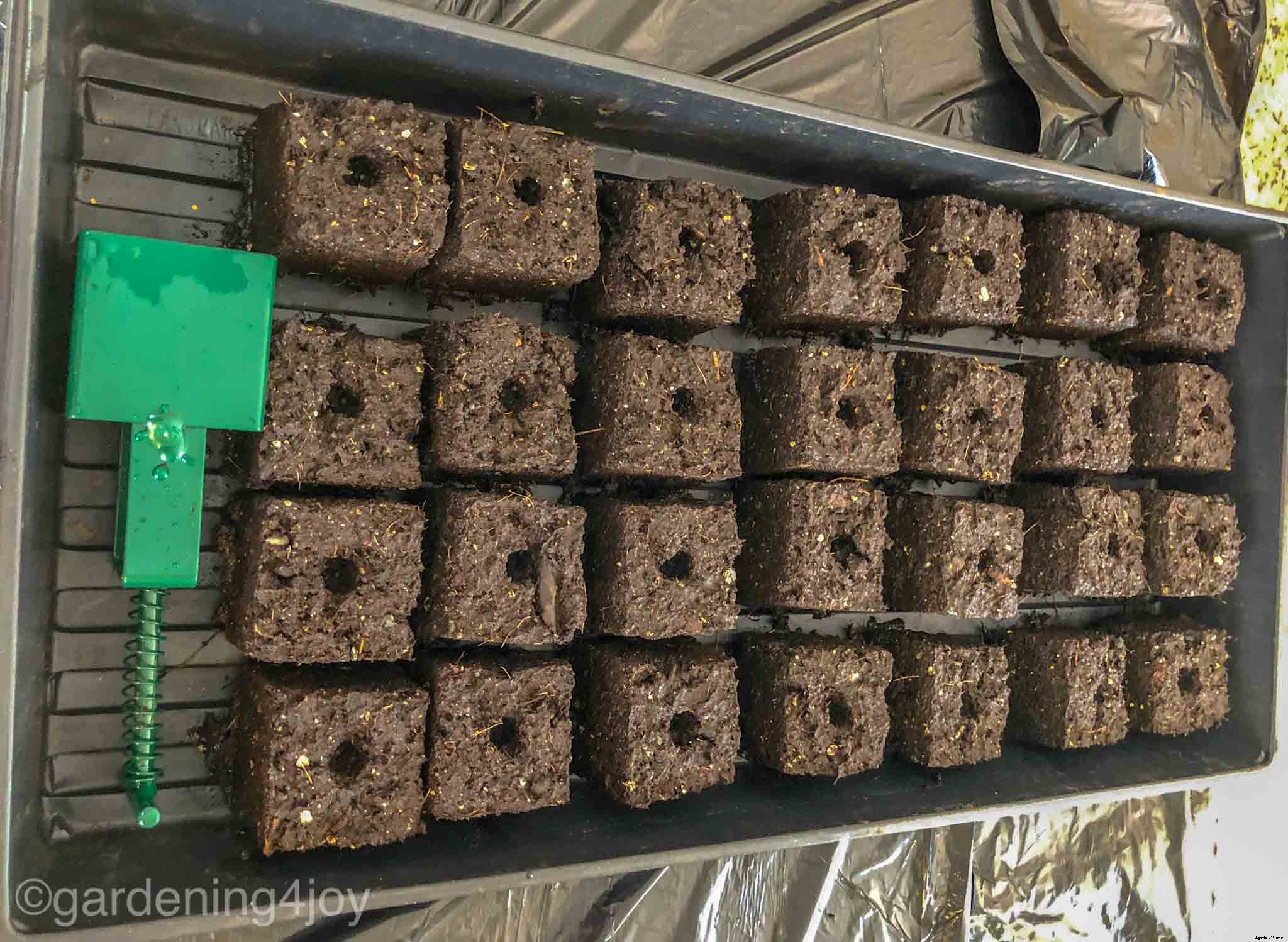 Soil Blocks: A simple approach to starting seeds indoors