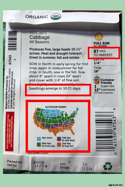 The complete guide to starting seeds indoors