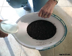 The complete guide to starting seeds indoors