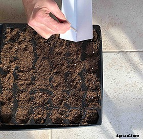 The complete guide to starting seeds indoors