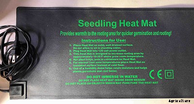 The complete guide to starting seeds indoors