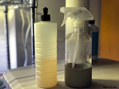 The complete guide to starting seeds indoors