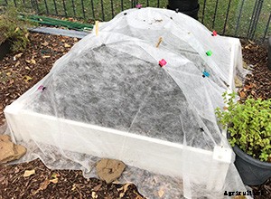 The complete guide to starting seeds indoors