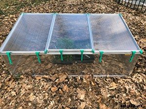 The complete guide to starting seeds indoors