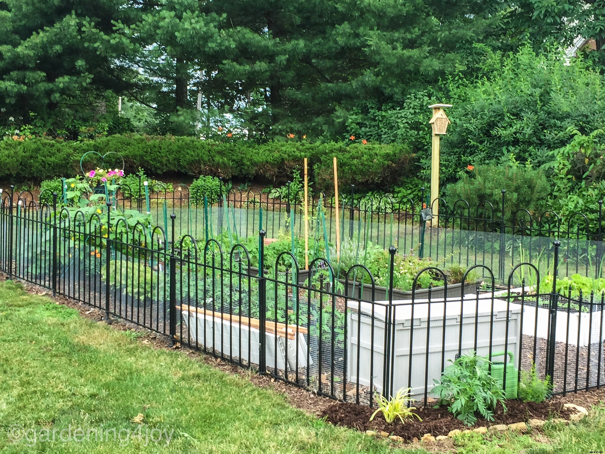 Crop rotation for the home gardener