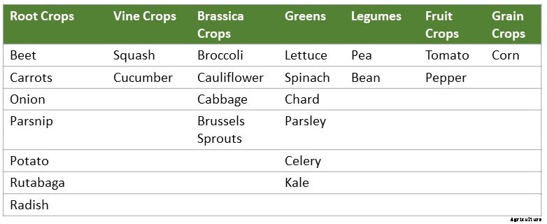 Crop rotation for the home gardener