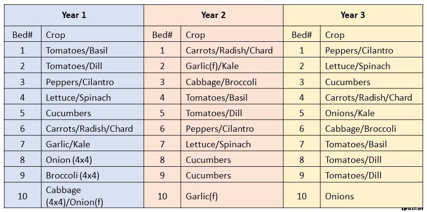 Crop rotation for the home gardener
