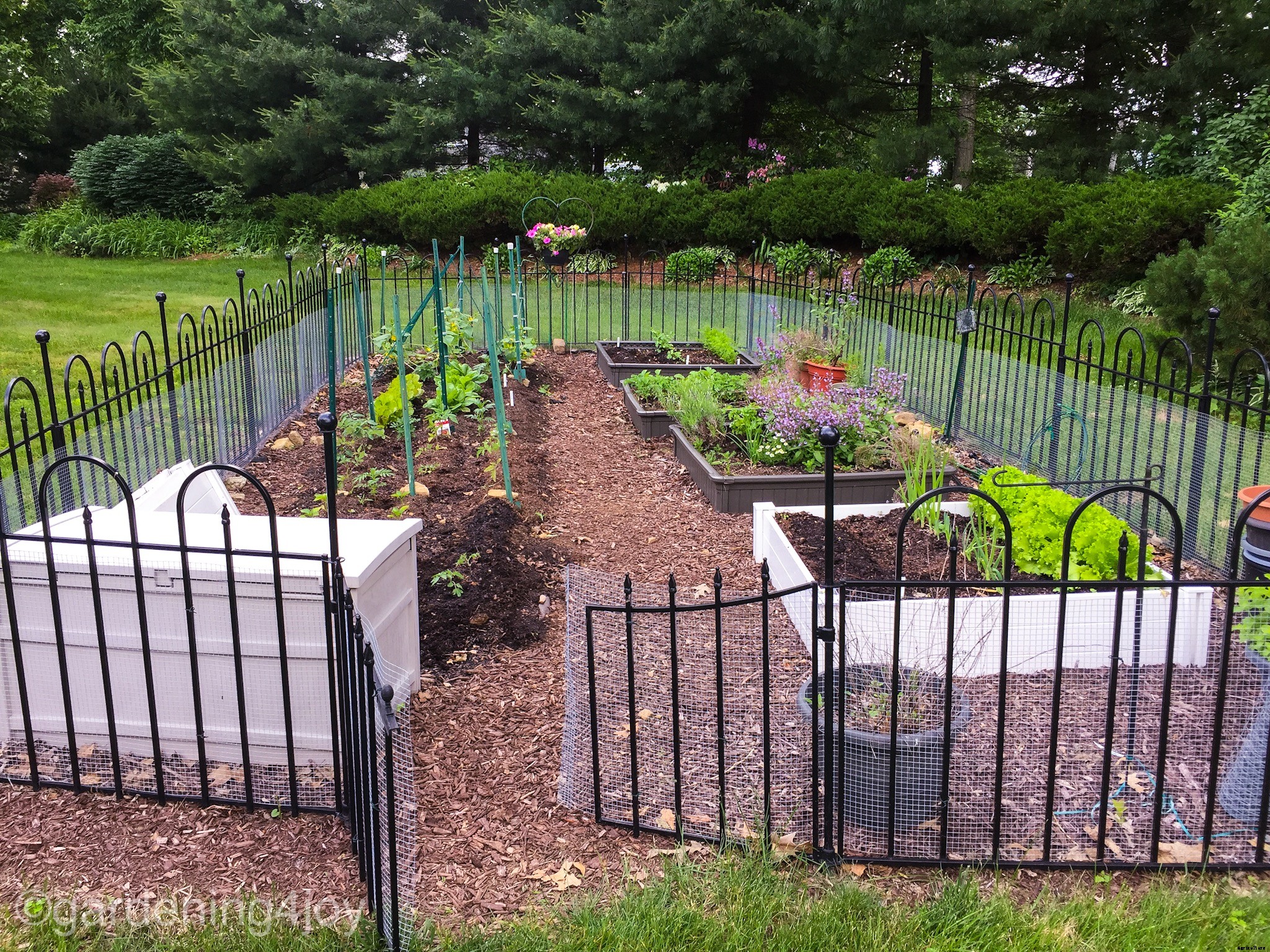Five Steps to Start a Vegetable Garden