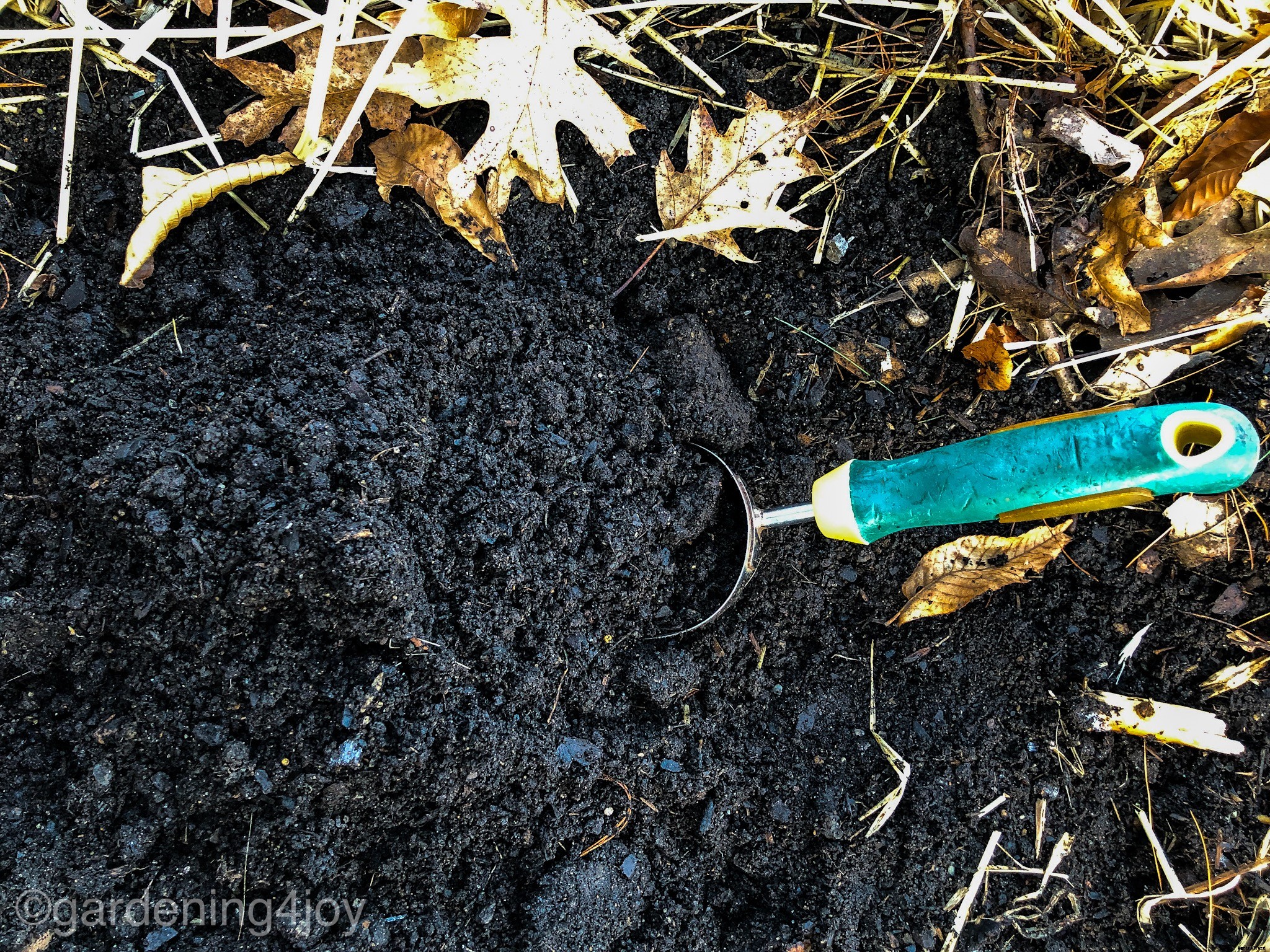 Five Steps to Start a Vegetable Garden