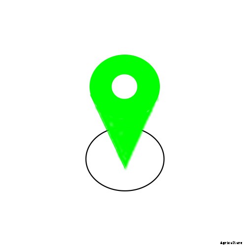 Five Steps to Start a Vegetable Garden