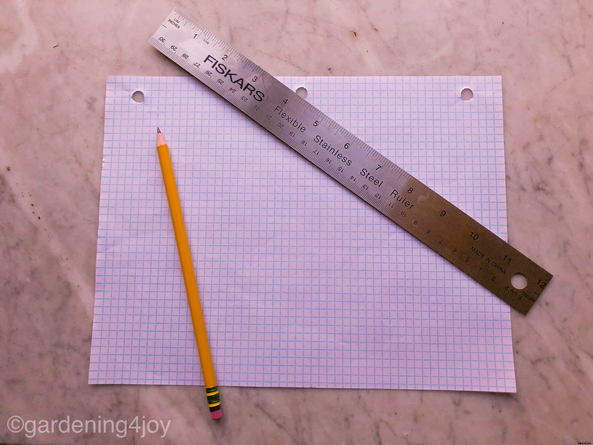 Five Steps to Start a Vegetable Garden