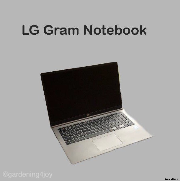 Getting Started: Blog Technology Basics