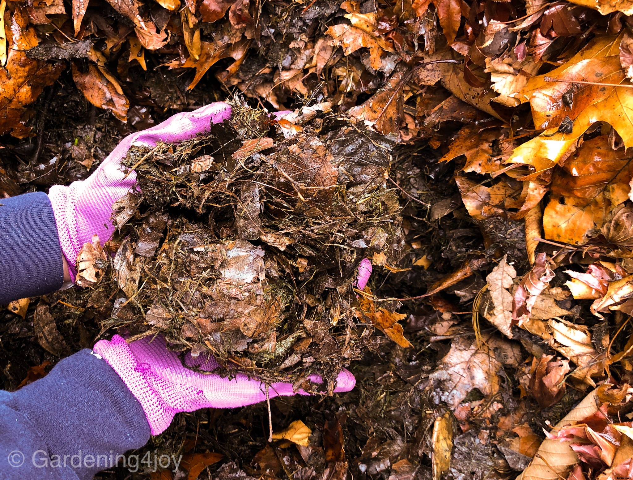 “Recipes” for Compost