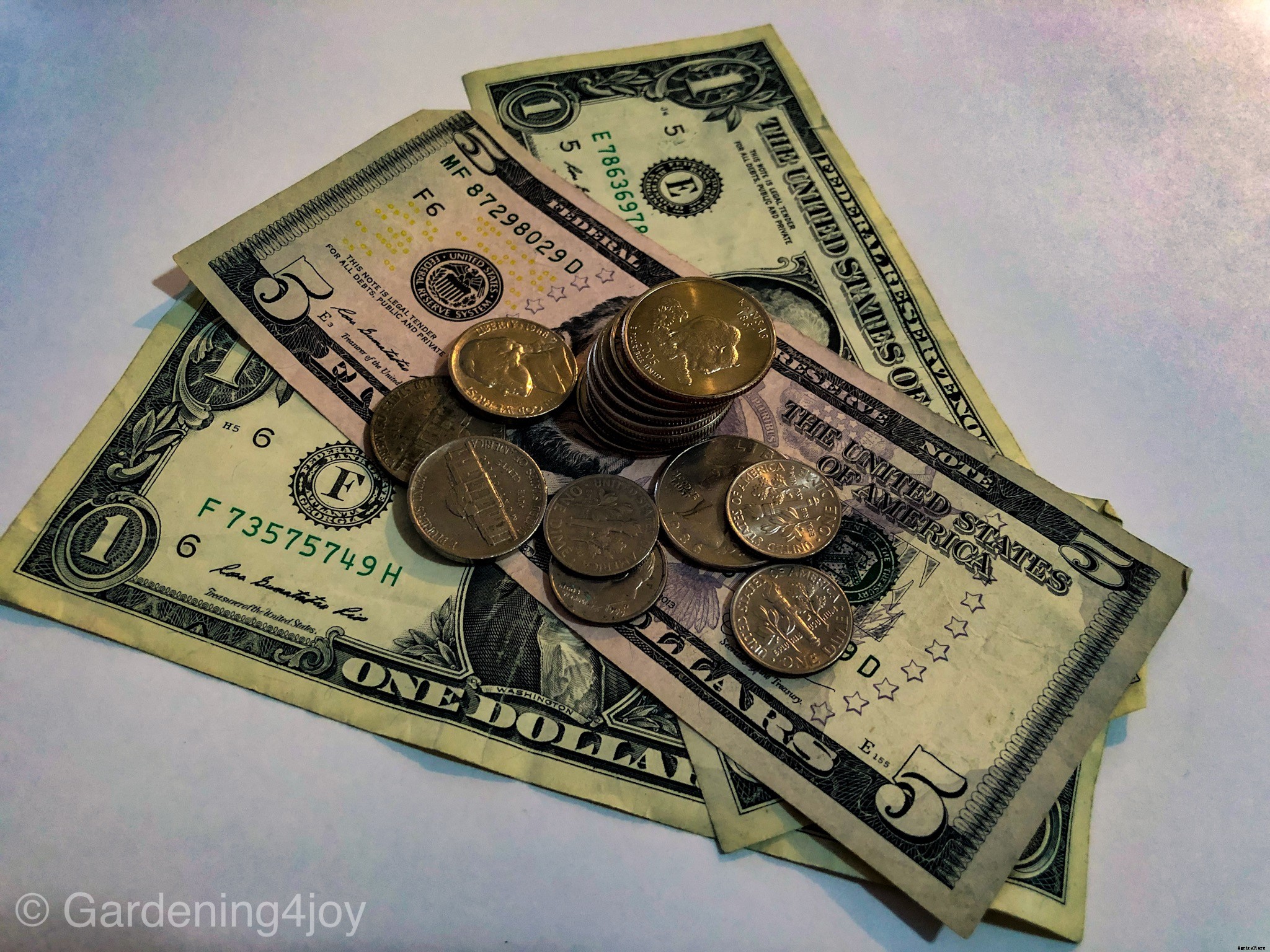 Four Key Benefits of Gardening