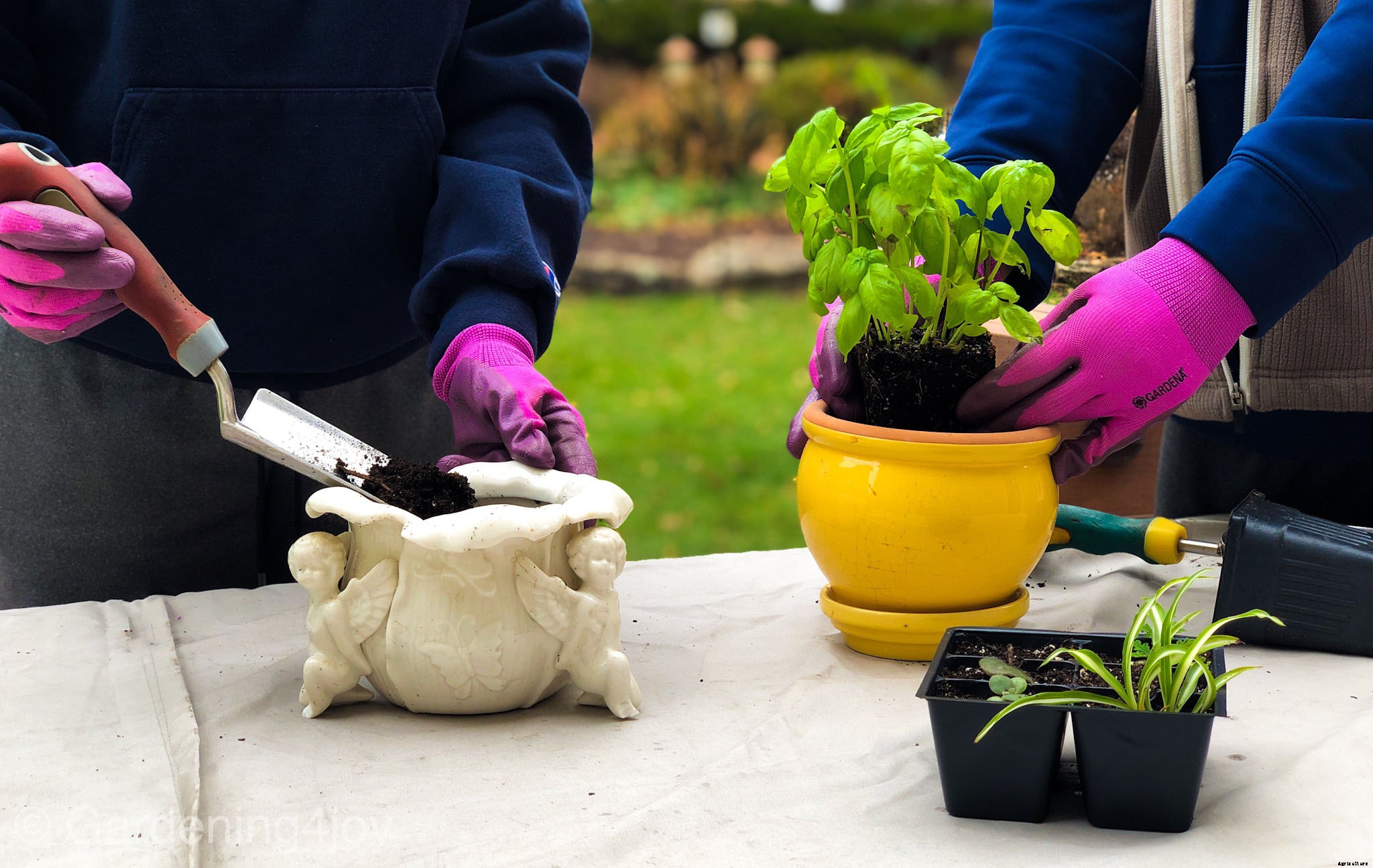 Four Key Benefits of Gardening