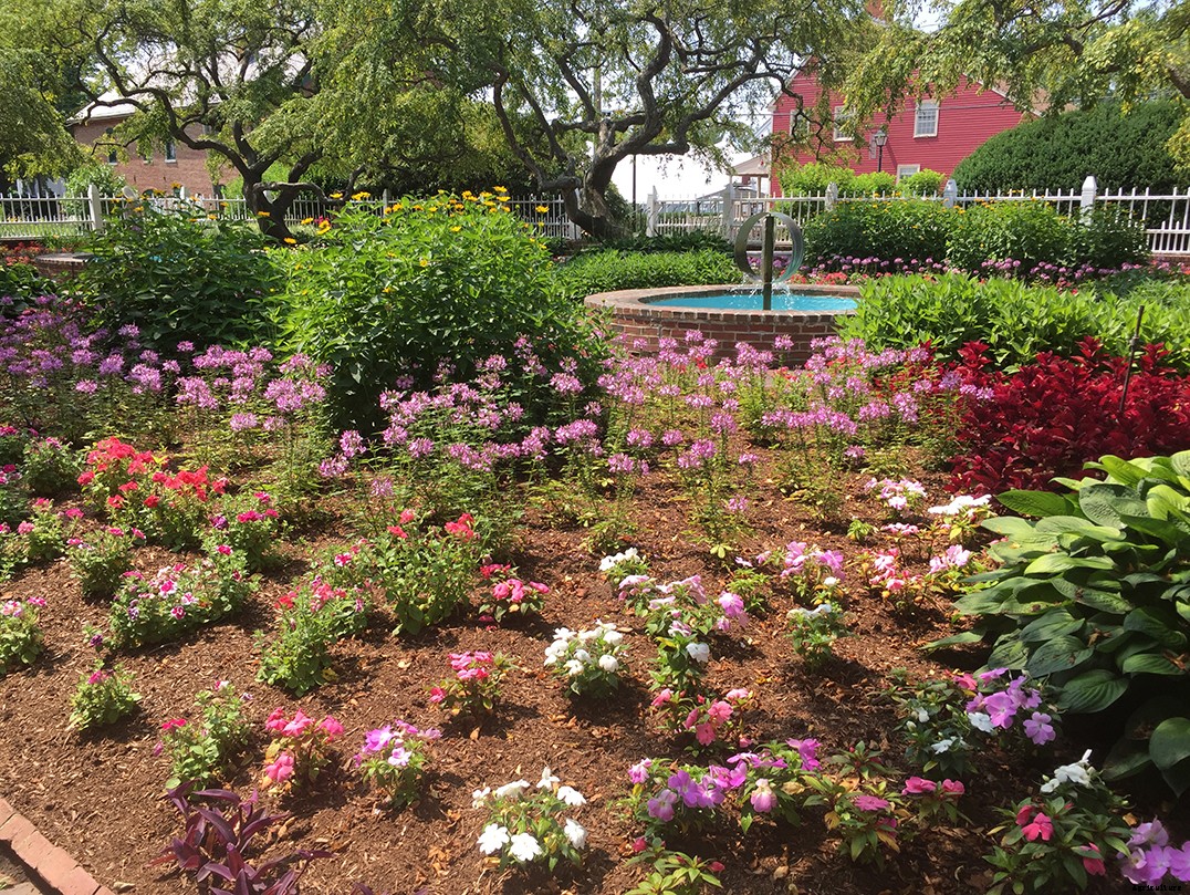 Four Key Benefits of Gardening