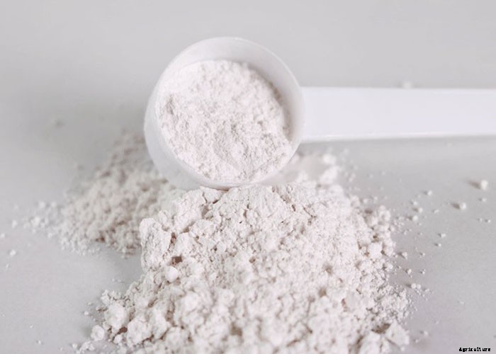 Why Plants Need Calcium And Which Are The Best Sources Of Calcium