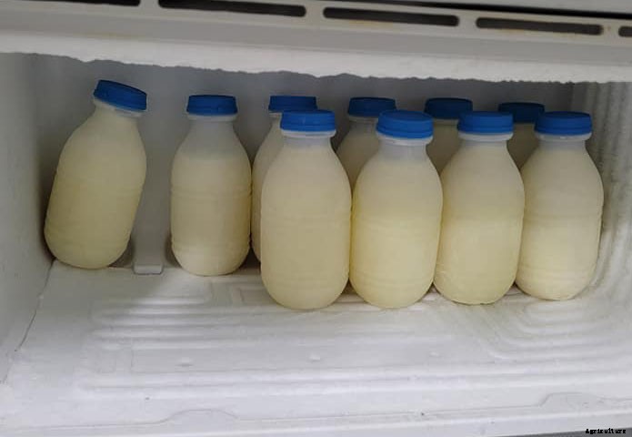 Why Plants Need Calcium And Which Are The Best Sources Of Calcium