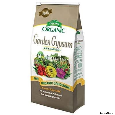 Why Plants Need Calcium And Which Are The Best Sources Of Calcium