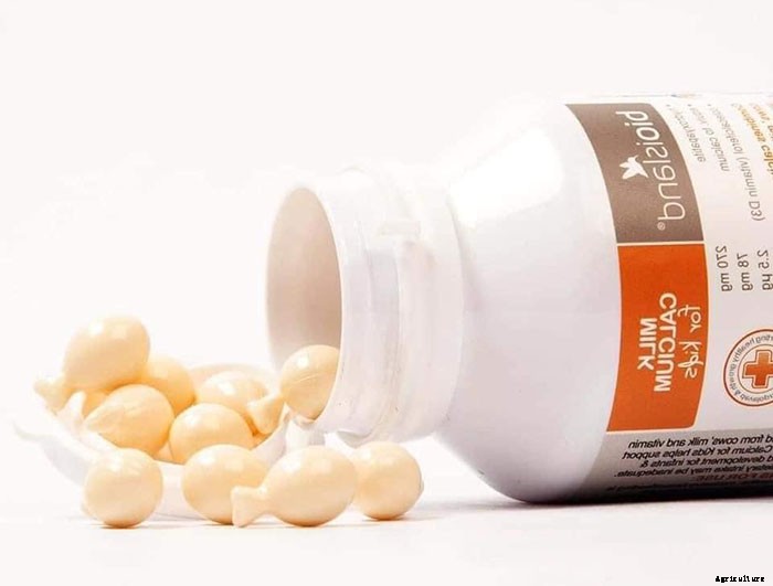 Why Plants Need Calcium And Which Are The Best Sources Of Calcium