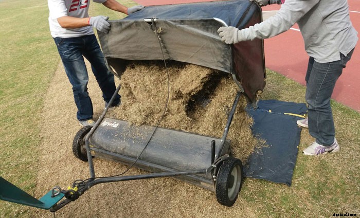 Recycling Grass Clippings – What You Can Do With Them