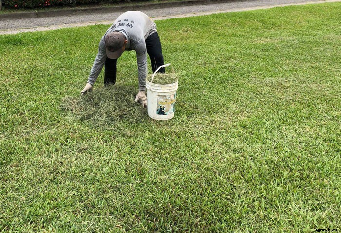 Recycling Grass Clippings – What You Can Do With Them