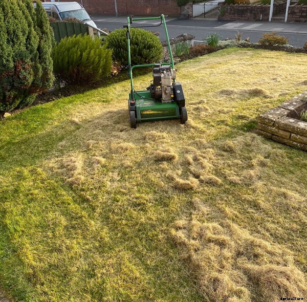 What is Scarifying? Why You Need To Do The Task?
